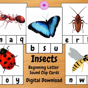 Tarjetas de clip de sonido de carta inicial de insectos / Descarga digital imprimible / Montessori, Educación en el hogar, Preescolar, PreK, Jardín de infantes