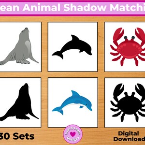 Carte corrispondenti all'ombra degli animali dell'oceano Download digitale stampabile / Montessori, Scuola materna, Scuola dell'infanzia, PreK, Scuola materna