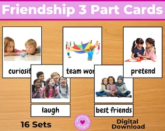 Friendship 3 Part Cards| Child Inspired Printable| Digital Download| Montessori, Homeschool, Preschool, PreK, Kindergarten, School