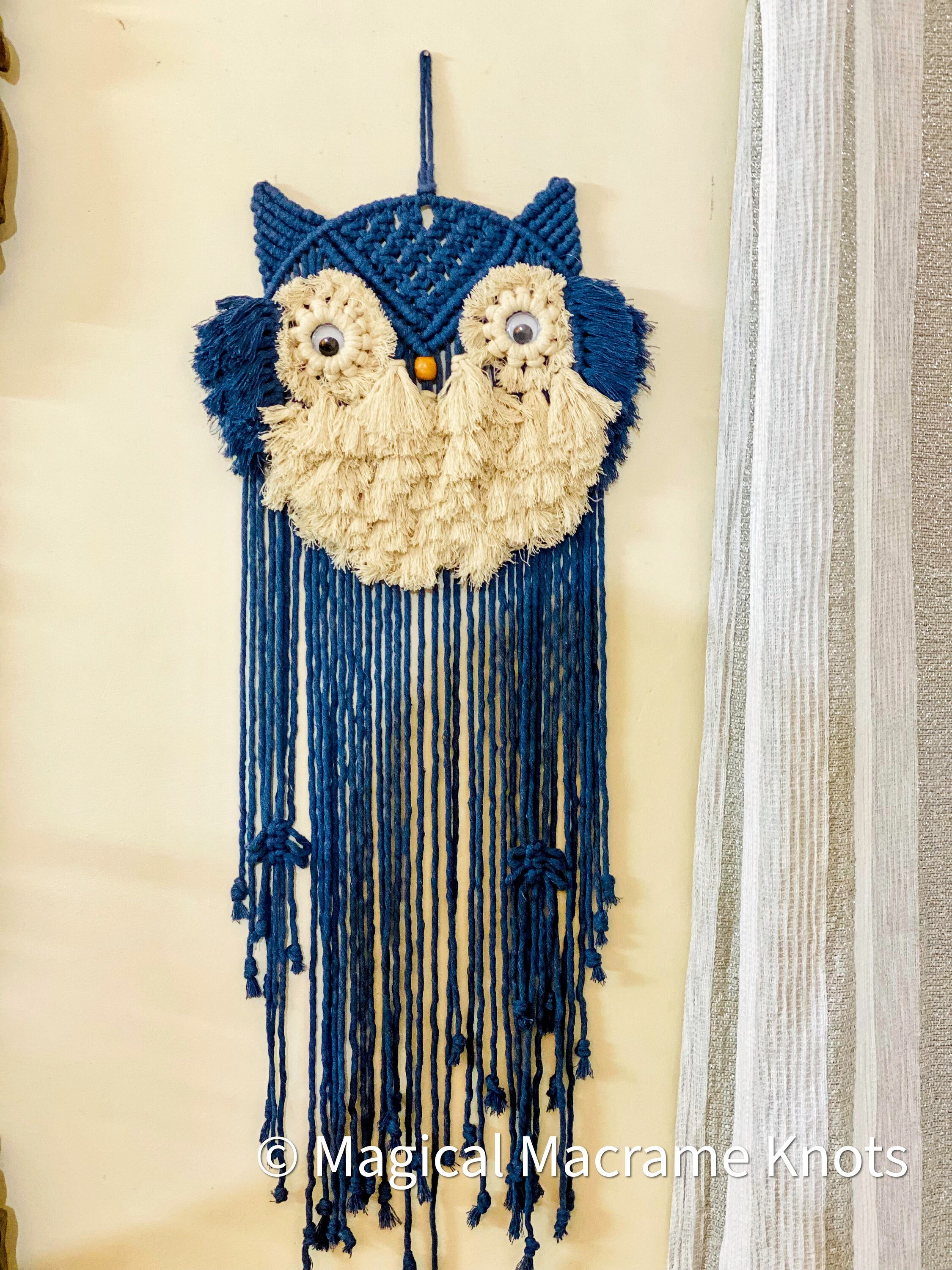 Macrame Owl Dreamcatcher, Macrame Owl, Wall Hanging, Moderne, Boho Décor, Zoo Animalier, Hibou, Macr