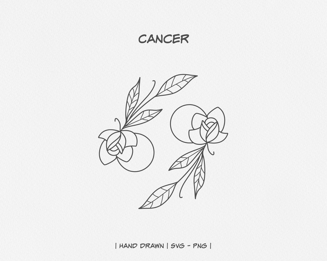 Floral Zodiac Signs Zodiac Signs Svg Zodiac Clip Art Etsy