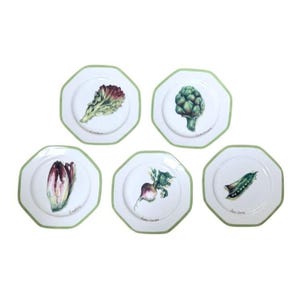 Williams-Sonoma Ceramic Octagonal Vegetable Garden Salad Plates Set Of 5