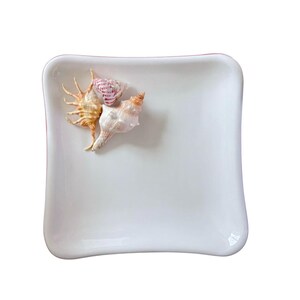 Puede incluir: Un plato cuadrado de cerámica blanca con esquinas redondeadas. Tres conchas marinas de diferentes tamaños y colores están dispuestas en la esquina superior izquierda. Las conchas marinas incluyen una concha naranja espinosa, una concha a rayas rosa y blanca y una concha de concha color crema.