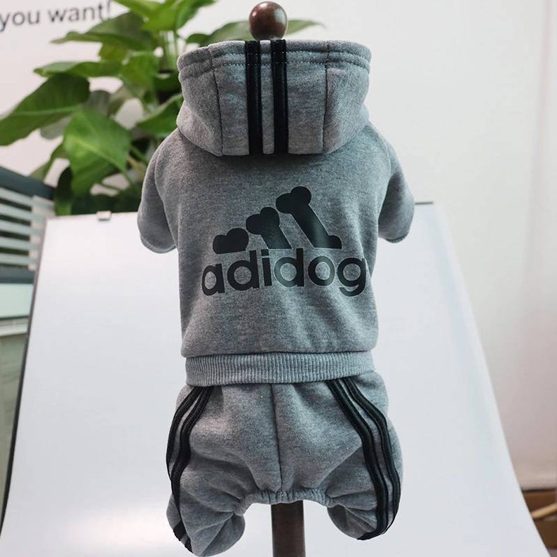 adidas dog clothes amazon