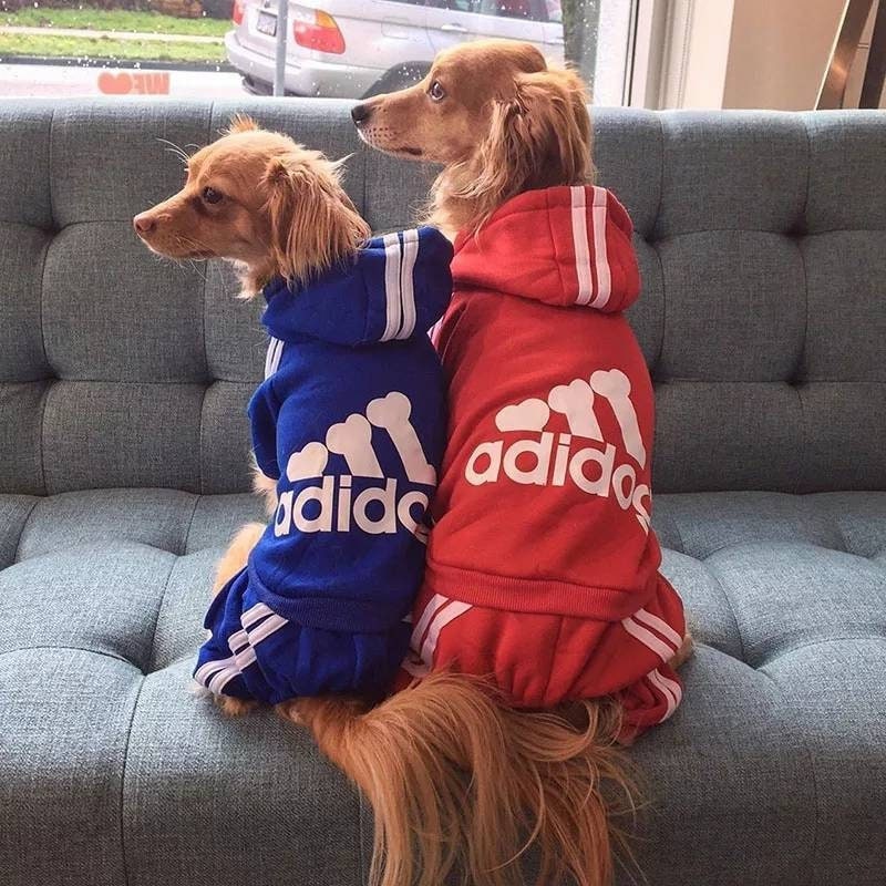 adidas dog tracksuit