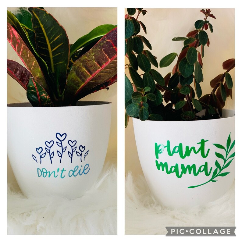 Plant Mama & Don�t Die Planter combo for Indoor/Outdoor Etsy Plant Mama & Don�t Die Planter combo for Indoor/Outdoor Etsy