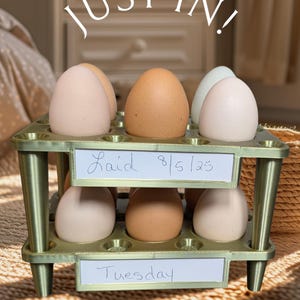 Könnte beinhalten: Ein goldfarbener Eierhalter aus Metall mit sechs Eiern in verschiedenen Farben. Die Eier werden in einem zweistufigen Halter präsentiert. Auf dem oberen Schild steht "Laid 8/5/23" und auf dem unteren Schild steht "Tuesday". Der Text "JUST IN!" steht oben.