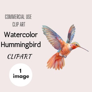 Watercolor Hummingbird Clipart | SINGLE IMAGE |  Watercolor Hummingbird | Nature Clipart | Junk Journals | Nursery Clipart | Commercial Use