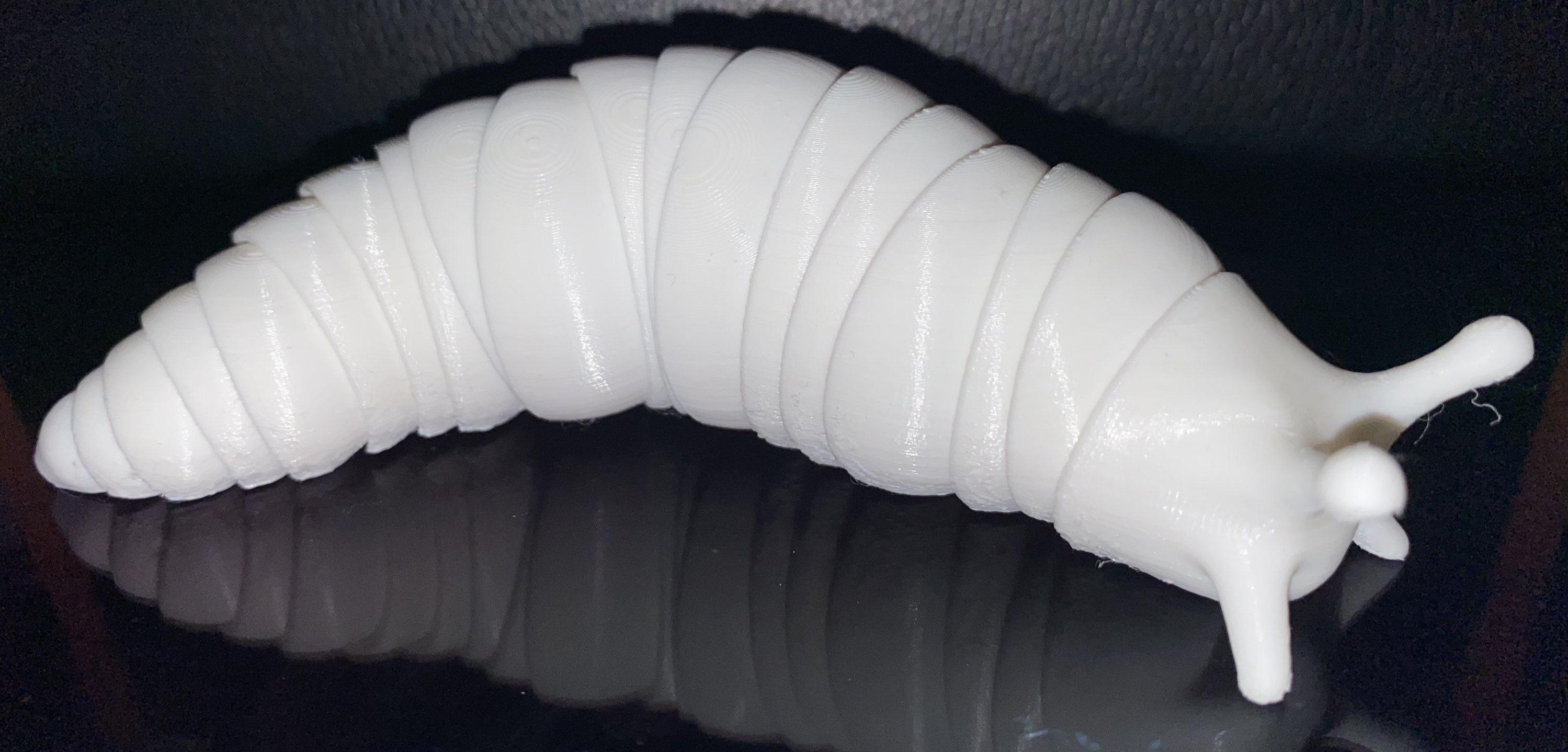 3d printed fidget slug