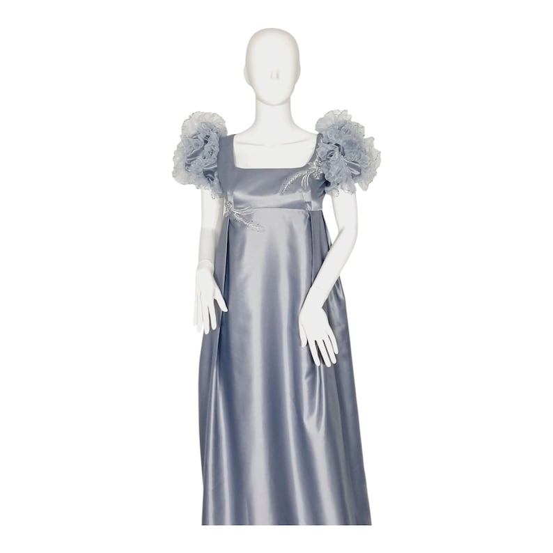Vintage Style Regency Dress: Silver Color Embroidery Dresses image 4