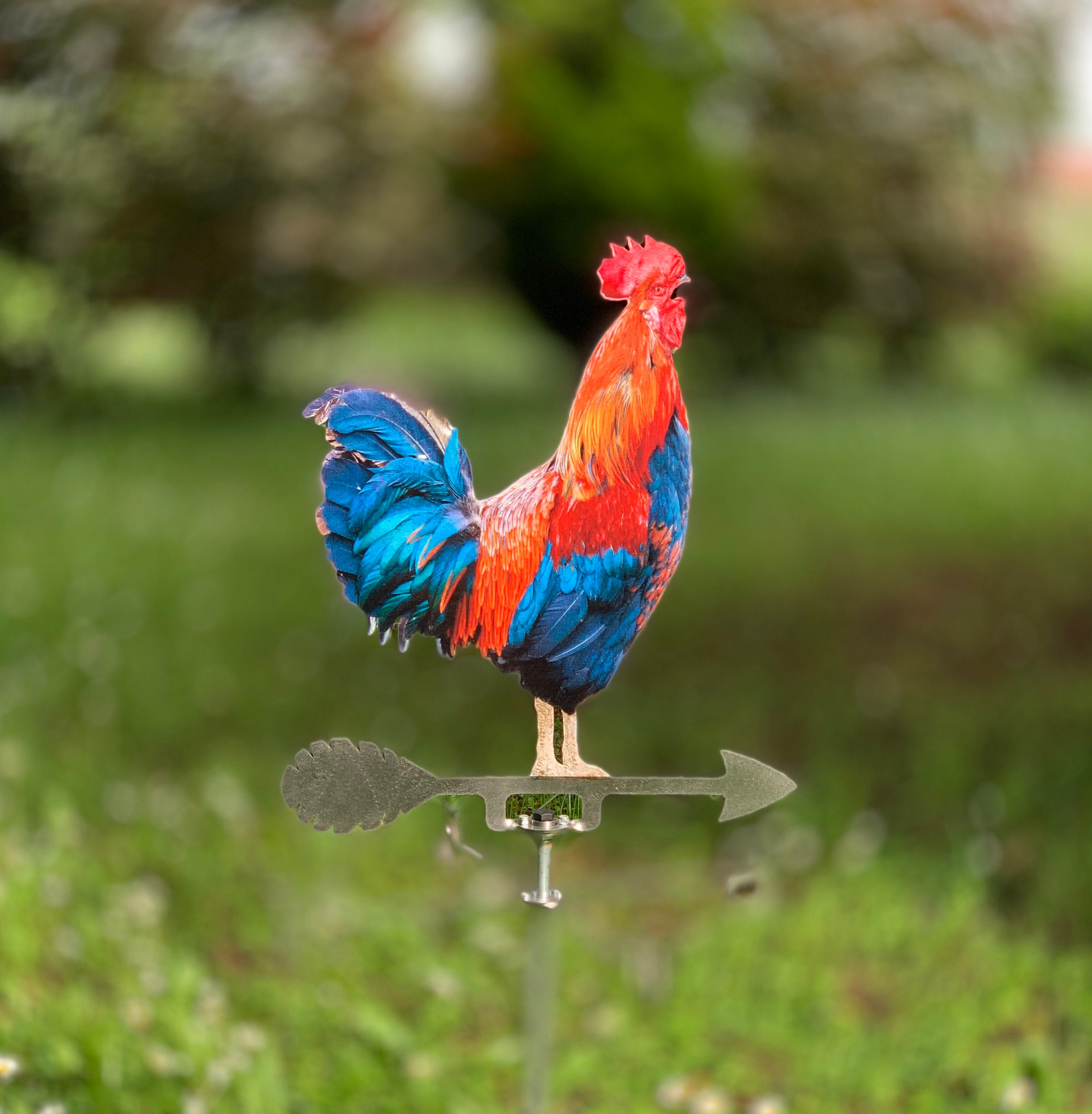 Rooster Realistic Cockerel Wind Spinner Pinwheel for Garden - Etsy Ireland Rooster Realistic Cockerel Wind Spinner Pinwheel for Garden - Etsy Ireland