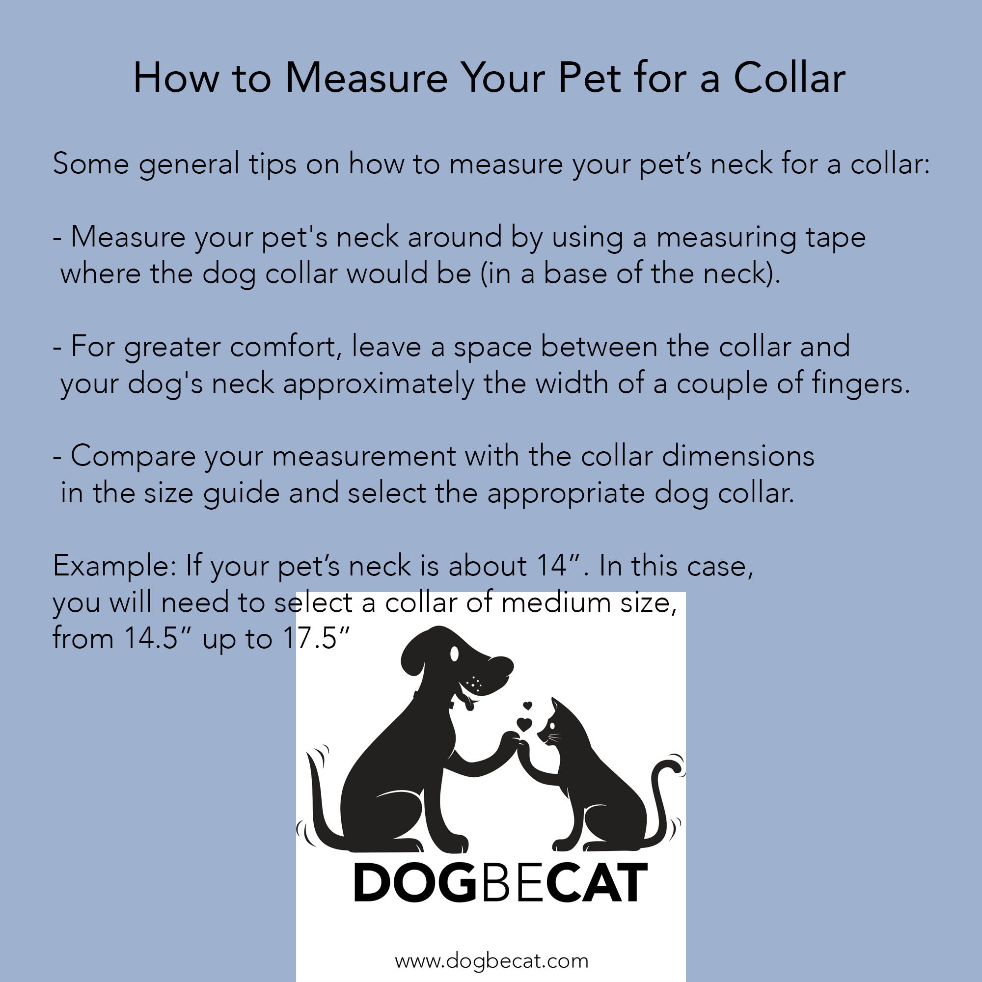 How Much Space Should Be Between Neck And Collar Dog