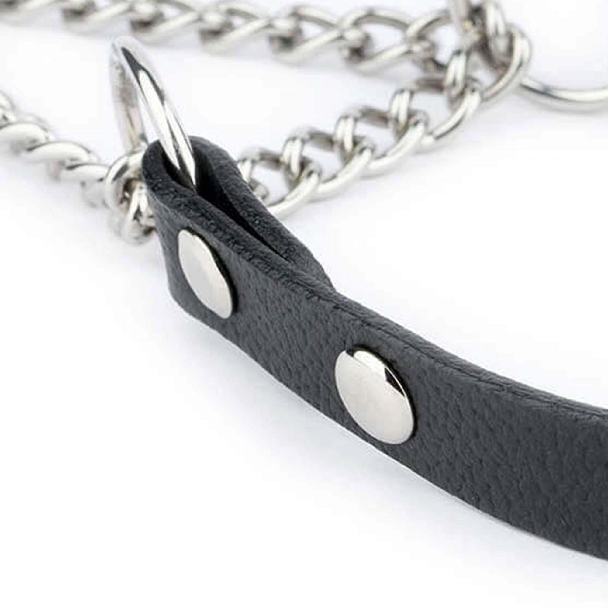 Black Leather Studded Dog Collar Martingale Dog Collar Etsy