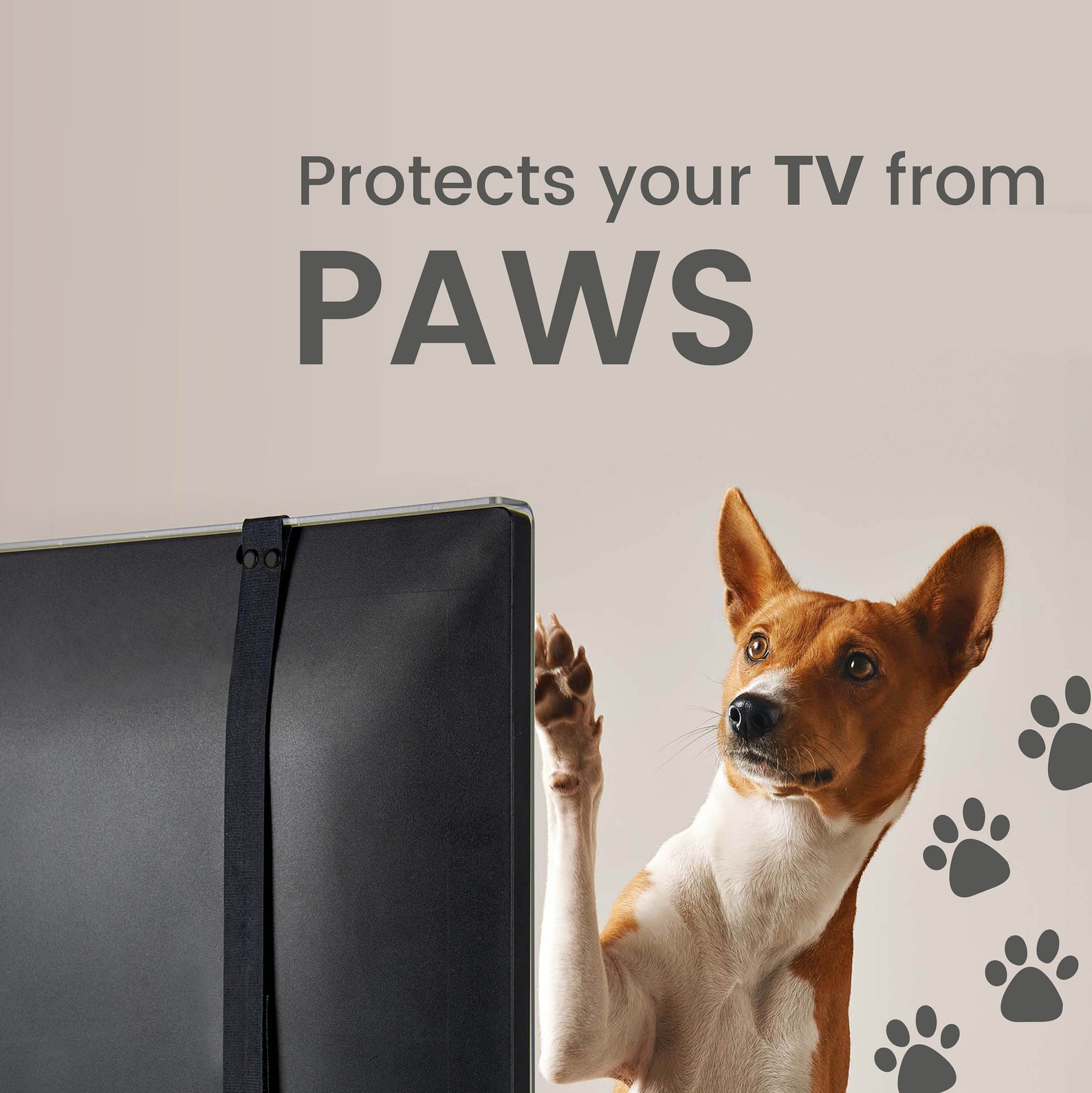 TV Screen Protector for Flat and Curved Shape Screen. Special ...