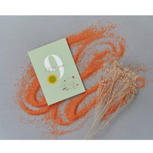 Cartes étapes bébé, cartes naissance, cadeau nouveau né, souvenir naissance, première année du bébé, premiers mois bébé, anniversaire 1 an