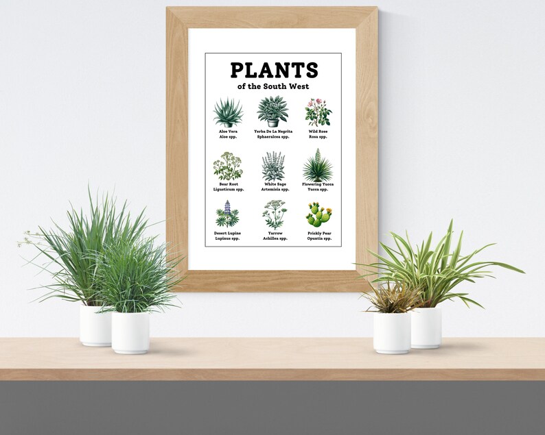 Home School Wall Art Plants of the South West / Nature Printable for