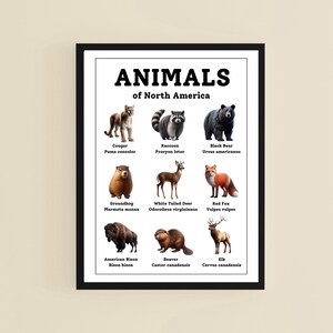 Gift for Engineer Unique Printable Wall Art 8x10 and 5x7 Instant Download