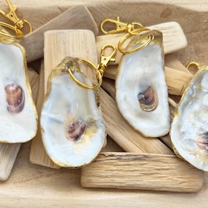 May include: Four oyster shell keychains with gold-colored trim and hardware. The shells are white with a small, brown and tan shell inside. The keychains rest on a bed of driftwood.