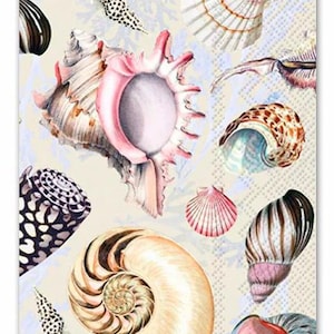Decoupage Paper Napkin  Sea Shells   Ephemera Scrapbooking Card Making Collage Decoupage Ships 1 Business Day