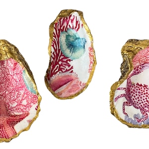 Oyster Shell Ring Dish  Seashell Decoupage Three Designs  Ready To Ship