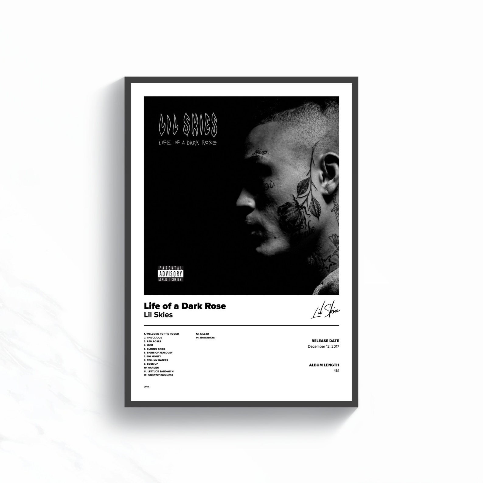 Lil Skies Poster Life Of A Dark Rose Album Cover Spotify Etsy