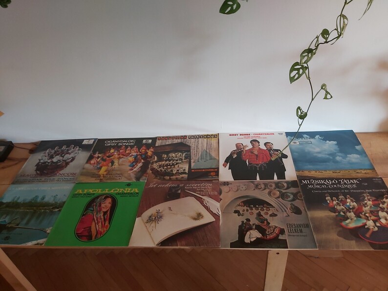 May include: A collection of ten vintage vinyl records with various covers. The covers feature a variety of images, including a group of people in traditional clothing, a group of musicians, a landscape, and a still life. The records are arranged in two rows on a wooden surface.