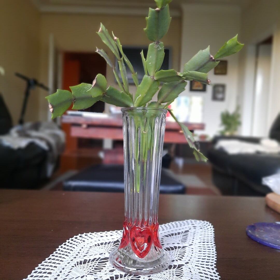 Vintage Small Glass Flower Vase. Ribbed Clear Glass Vase. Vase With Red