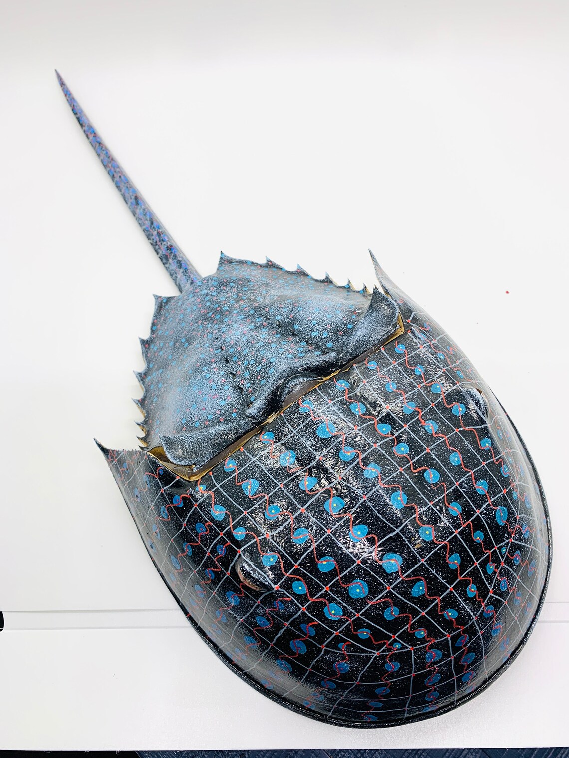 Horseshoe Crab Shell Art Home Decor Gifts Unique Coastal Etsy