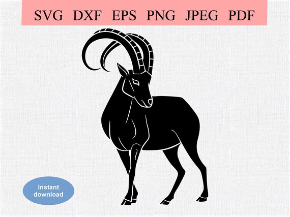 さ*様 Graphpaper GoatSuedeSingleRidersJack さ*様 Graphpaper GoatSuedeSingleRidersJack