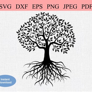 Chêne abstrait / SVG DXF EPS / Grand chêne feuillu avec beaucoup de branches et de glands / Glands en croissance / Arbre avec une silhouette de système racinaire