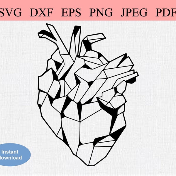 Geometric Anatomical Heart / SVG DXF EPS / Abstract Real Heart with Valves / Stone Heart / Beating Heart / Geometric Real Human Heart Organ