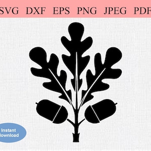 Branche de chêne / SVG DXF EPS / Branche de chêne feuillue avec feuilles et glands / Glands en croissance / Feuille de chêne / Deux glands / Fruit de l’arbre