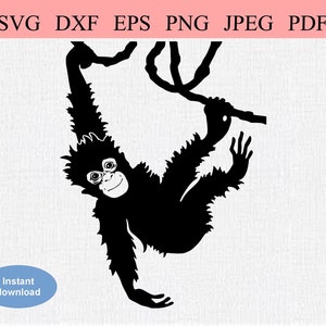 Hangende orang-oetan aap / SVG DXF EPS / baby orang-oetan hangend aan een boom / aap zwaaiend aan een wijnstok / aap capriolen / grote aap stencil