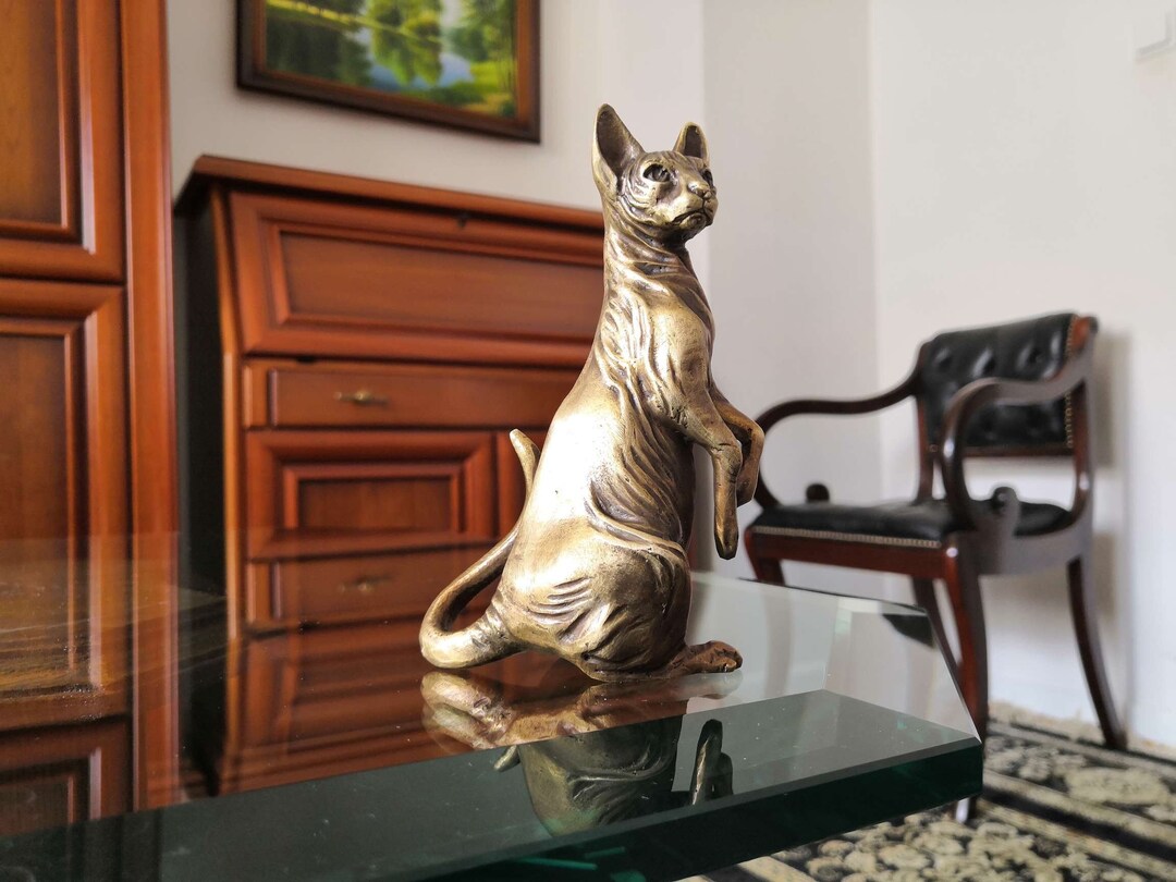 caractéristique du chat sphynx bronze