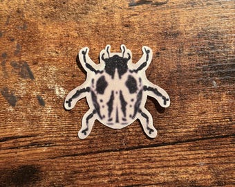May include: A die-cut sticker featuring a stylized beetle illustration with a cream-colored body and intricate black markings. The insect has six legs and two antennae, rendered in a graphic, high-contrast style with a smooth, rounded outline.