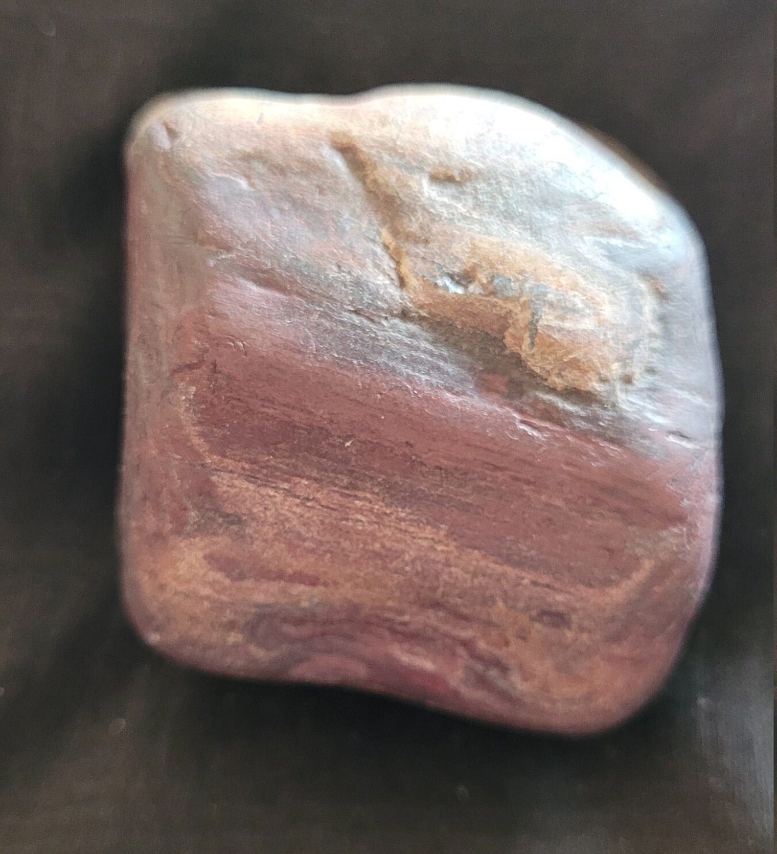 4.1oz Montana Red Petrified wood for tumbling ect Etsy