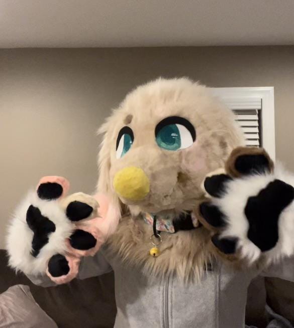 Bunny Fursuit - Etsy