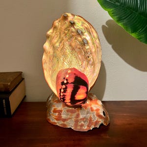 Könnte beinhalten: Abalone-Muschellampe mit schimmerndem, irisierendem Innenraum. Die Lampe hat ein rot-schwarzes, schmetterlingsförmiges Element, das auf einem strukturierten, orange-weißem Sockel ruht. Die Muschel wird von innen beleuchtet und erzeugt ein warmes Licht.