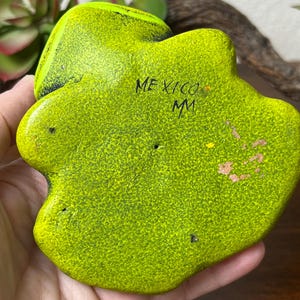 May include: A lime green ceramic frog-shaped dish with a textured surface. The dish has a bright yellow rim and the word "MEXICO" is written on the surface. The dish is held in a hand.
