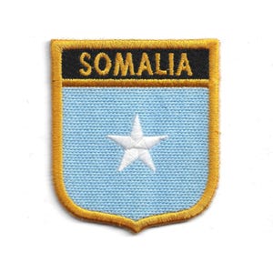 Somalië vlag grunge bubbels pictogram vectorillustratie | Premium Vector