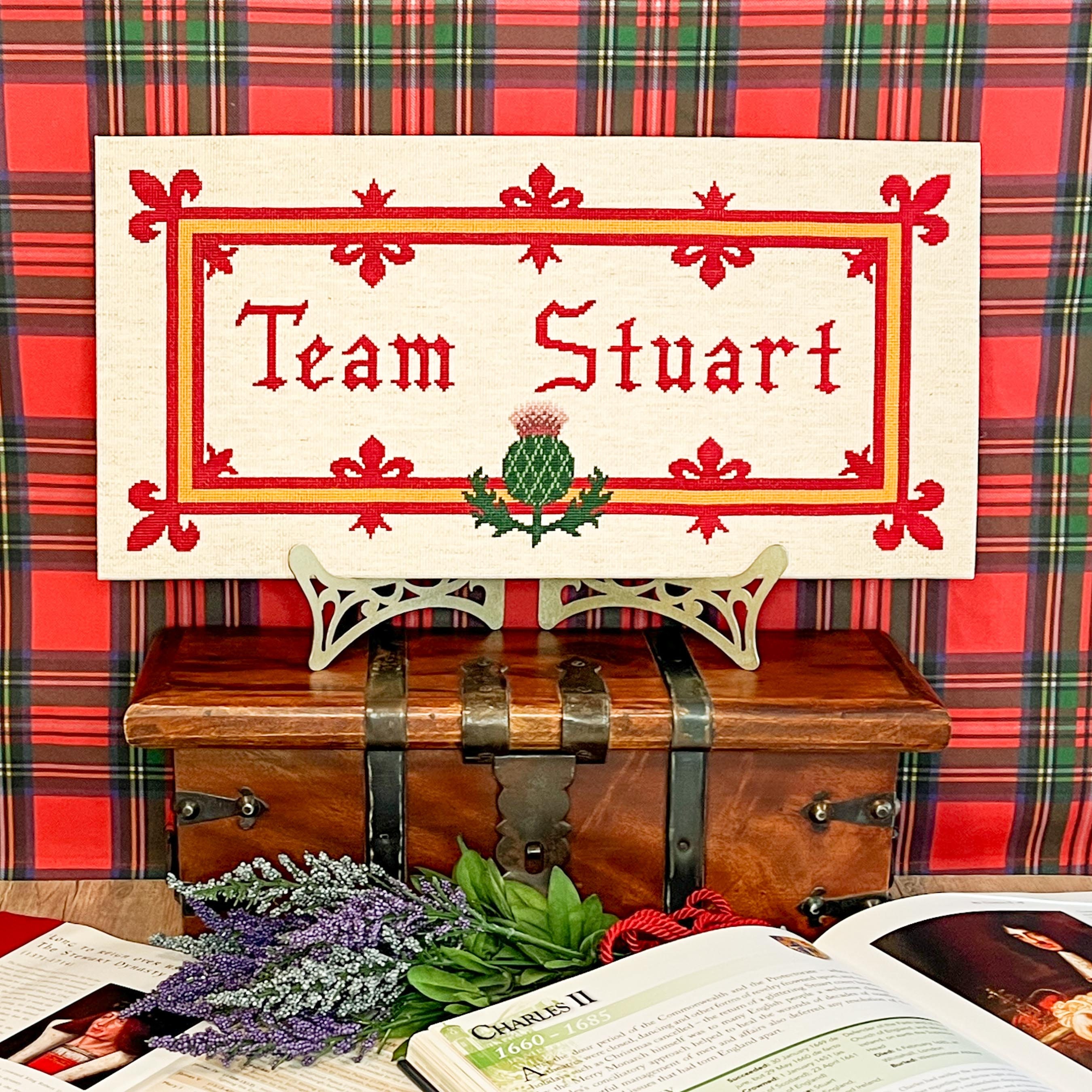 Team Stuart Cross Stitch Pattern (large) | PDF Instant Download | Gift ...
