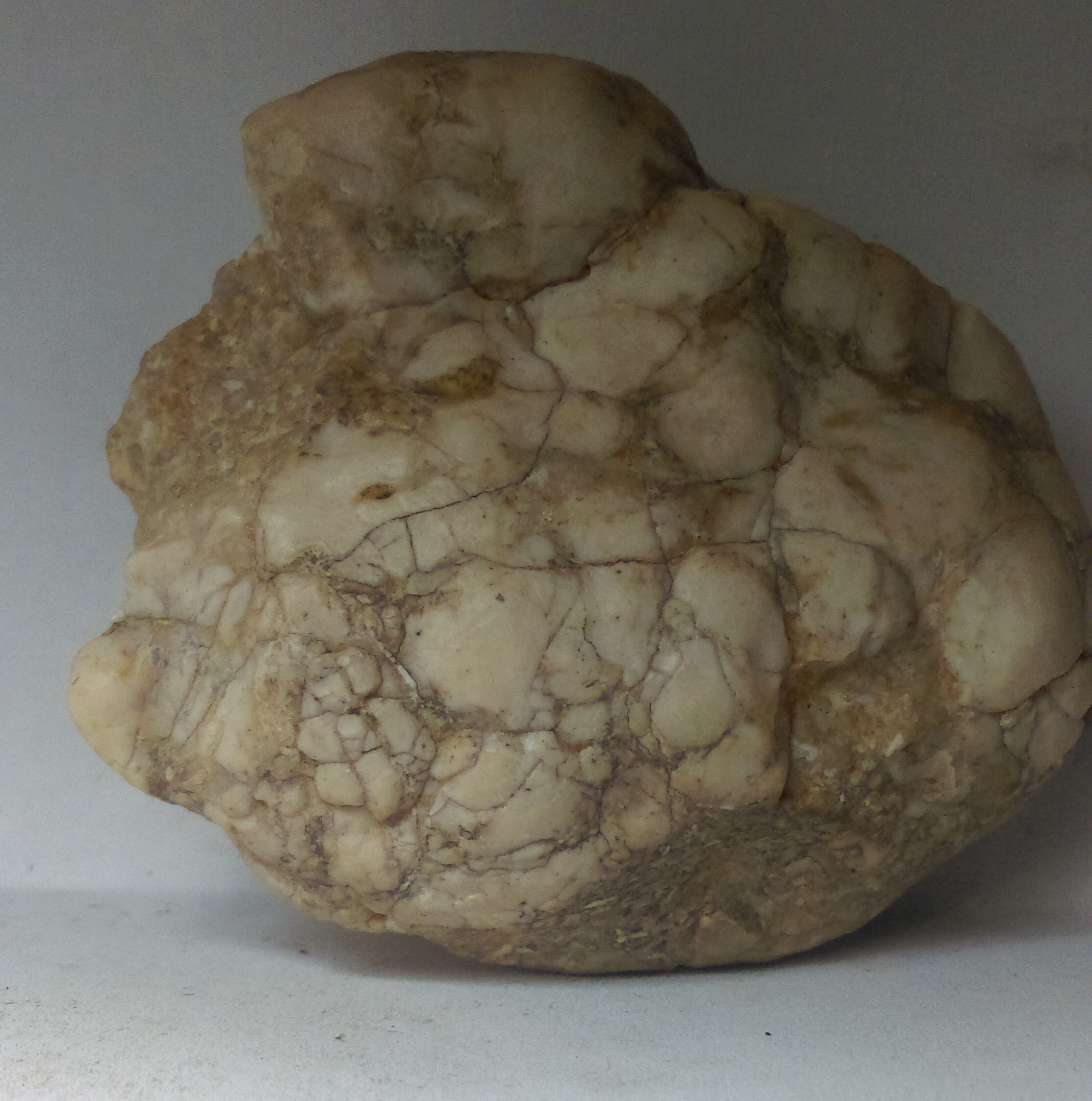 Météorite Lunaire Brèche d'impact Anorthosite 67, 28 Gr