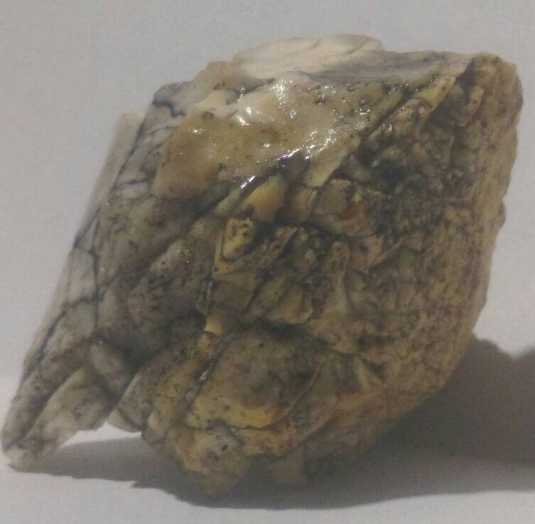 Météorite Achondrite à Enstatite Aubrite 23, 20 G