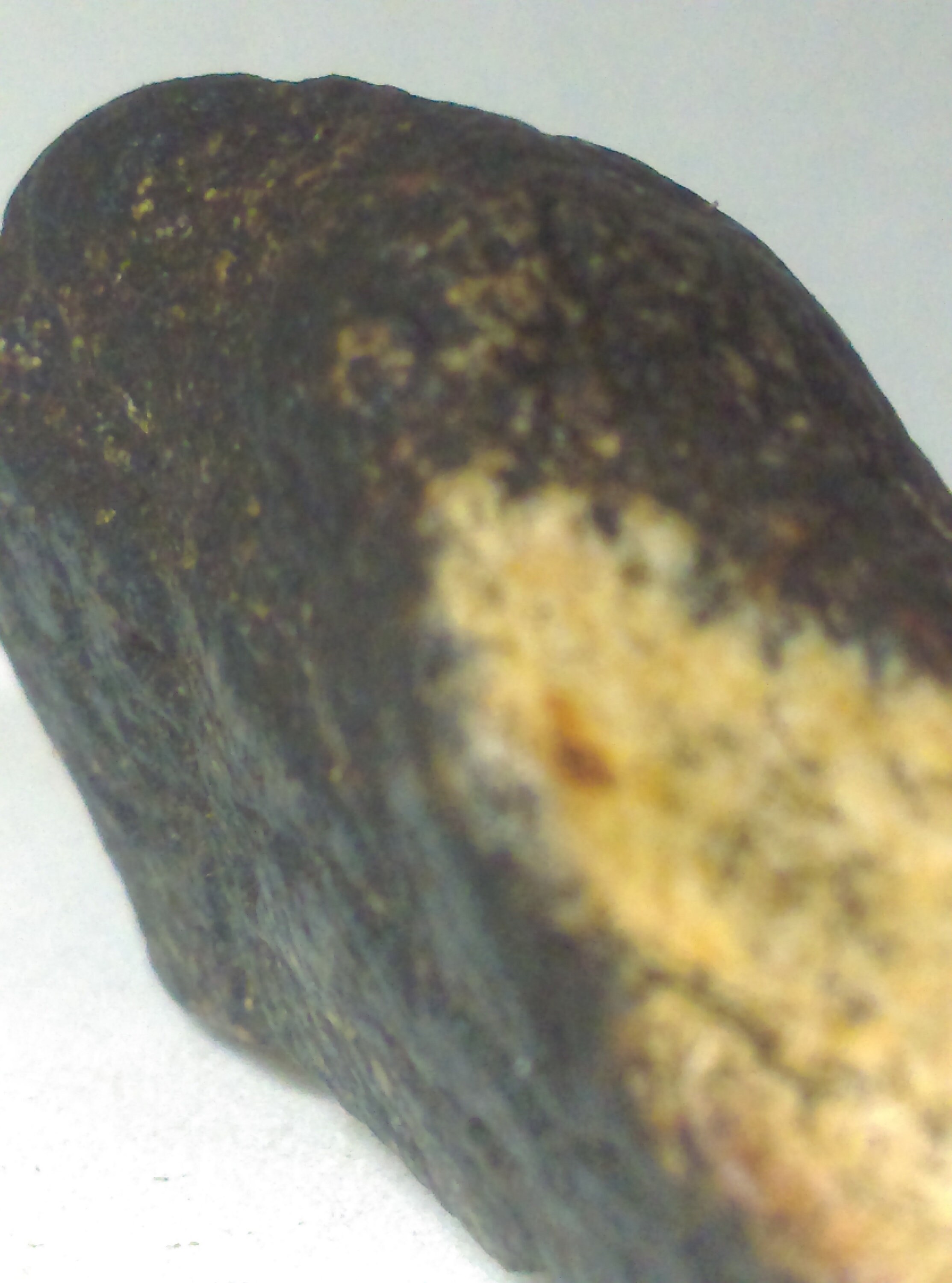 Météorite Lunaire Troctolite 19, 13 Gr