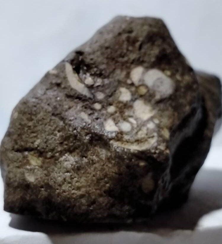Météorite Lunaire Basalte Brèche Anorthosite/Troctolite 38, 21 G