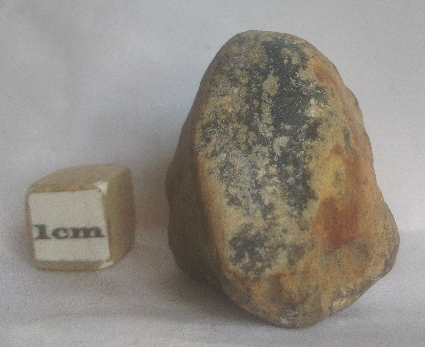 Météorite Basalte Lunaire Brèche Anorthosite 36, 67 G