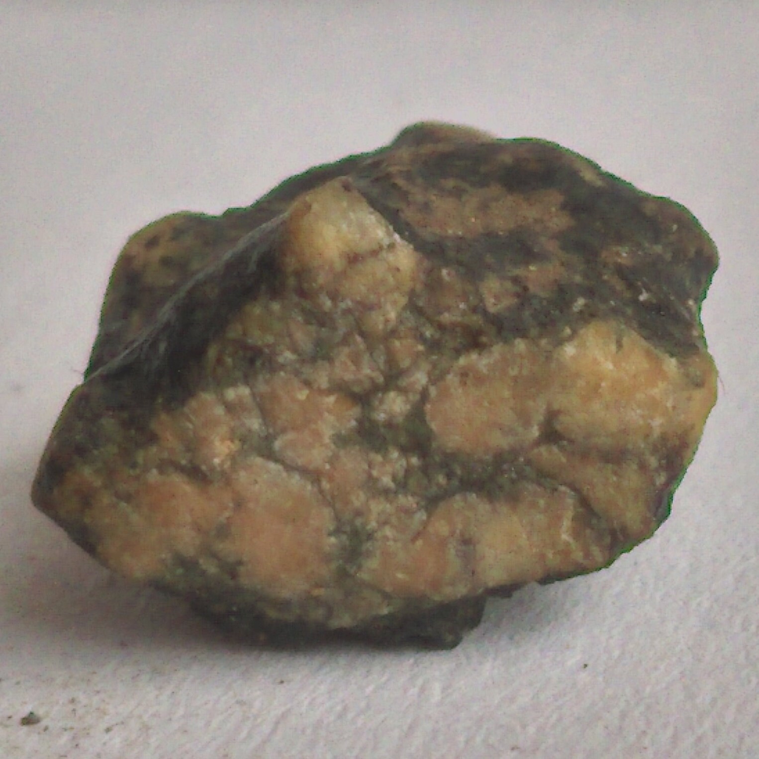 Météorite Lunaire Brèche Troctolite 1, 12 Gr