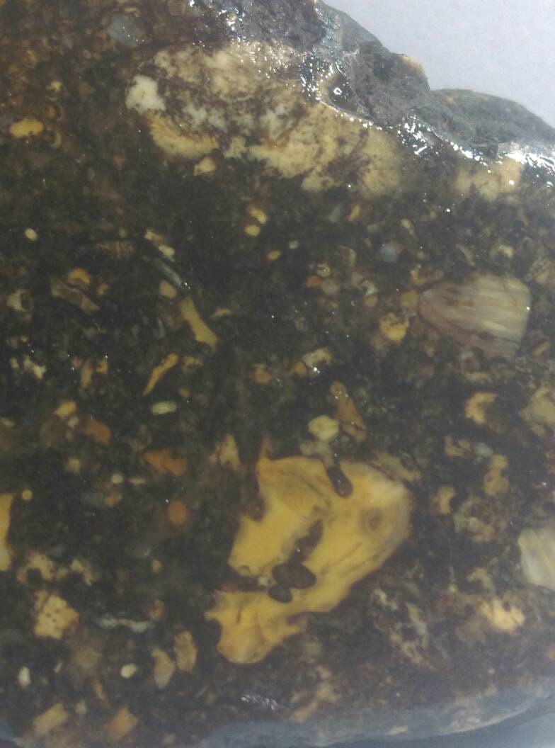 Météorite Achondrite Lunaire Brèche Régolithe 43, 24 G