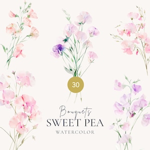 Wildblumensträuße Aquarell Clipart Bündel, Sweet pea Blumensträuße, Pfirsich, lila Blumen vorgefertigte Clipart, Pastellblumen Hochzeit Clipart