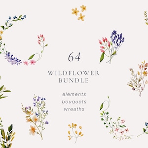 Clipart de flores de verão em aquarela, aquarela de prado, flores silvestres Boho, PNG de flores silvestres, buquês de flores silvestres, coroa de flores silvestres